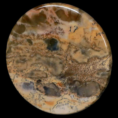 60MM Chinese Picture Jasper Mineral Specimen Round Polished Slab Liaoning, China - Fossil Age Minerals