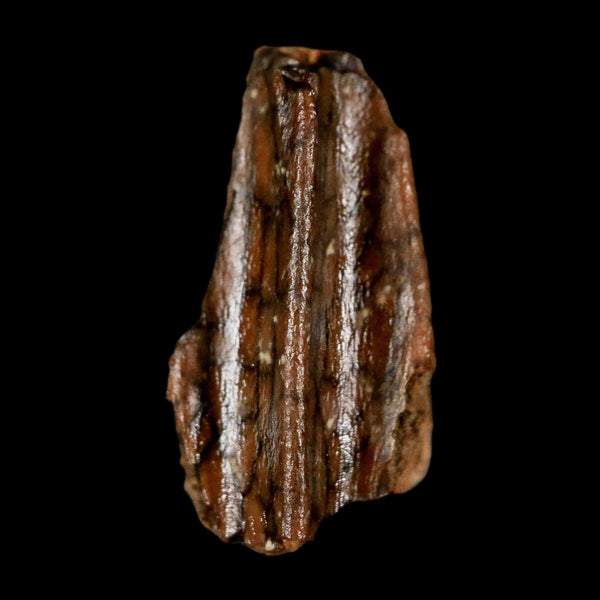 0.6
