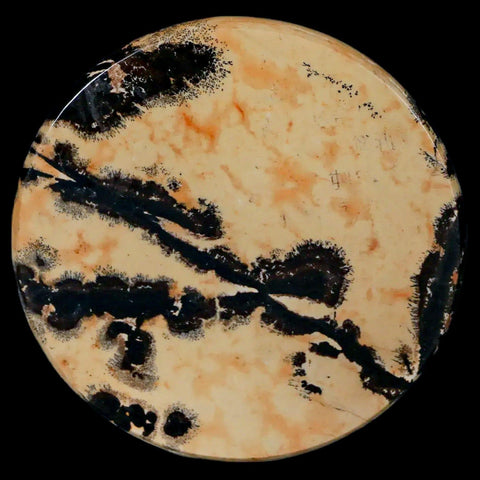 61MM Chinese Picture Jasper Mineral Specimen Round Polished Slab Liaoning, China - Fossil Age Minerals