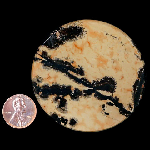 61MM Chinese Picture Jasper Mineral Specimen Round Polished Slab Liaoning, China - Fossil Age Minerals