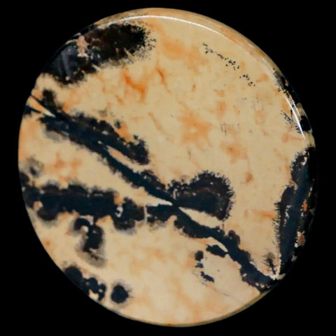 61MM Chinese Picture Jasper Mineral Specimen Round Polished Slab Liaoning, China - Fossil Age Minerals