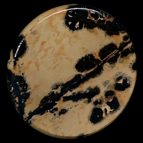 61MM Chinese Picture Jasper Mineral Specimen Round Polished Slab Liaoning, China - Fossil Age Minerals