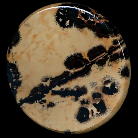 61MM Chinese Picture Jasper Mineral Specimen Round Polished Slab Liaoning, China - Fossil Age Minerals