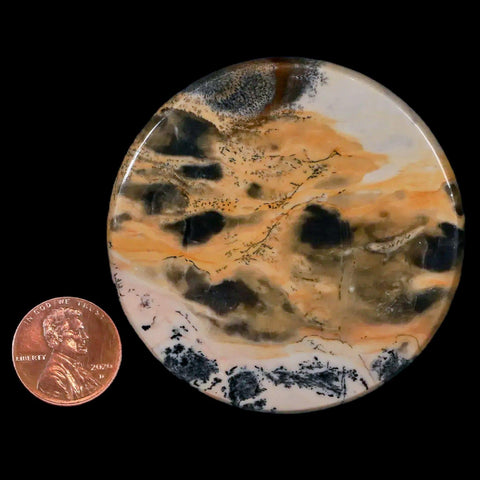 60MM Chinese Picture Jasper Mineral Specimen Round Polished Slab Liaoning, China - Fossil Age Minerals