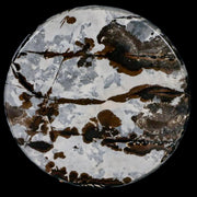 60MM Chinese Picture Jasper Mineral Specimen Round Polished Slab Liaoning, China