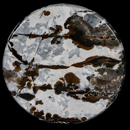 60MM Chinese Picture Jasper Mineral Specimen Round Polished Slab Liaoning, China