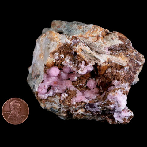 3.6" Pink Cobaltain Cobalt Calcite Natural Crystal Druzy Mineral Specimen Morocco - Fossil Age Minerals