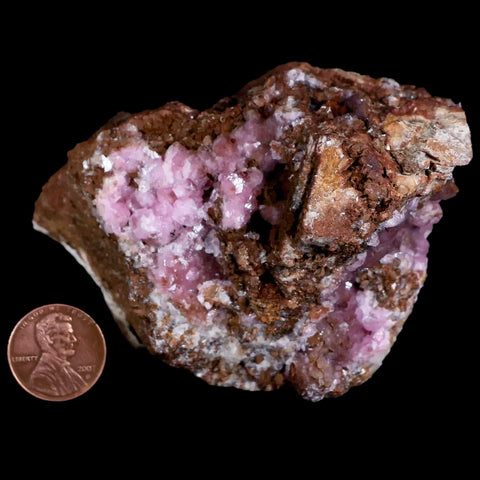 3.9" Pink Cobaltain Cobalt Calcite Natural Crystal Druzy Mineral Specimen Morocco - Fossil Age Minerals