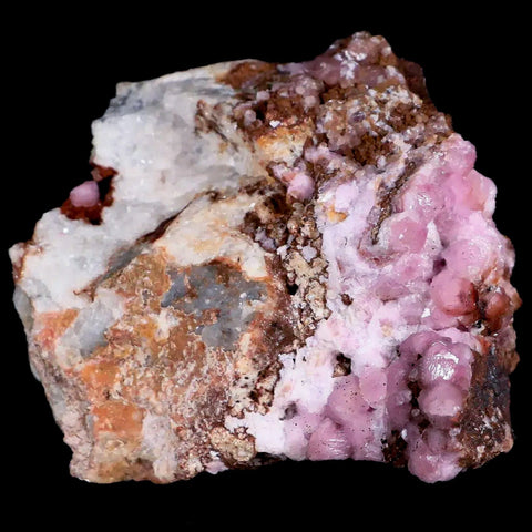 3.2" Pink Cobaltain Cobalt Calcite Natural Crystal Druzy Mineral Specimen Morocco - Fossil Age Minerals