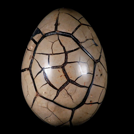 7.1" Septarian Dragon Stone Vug Egg Mineral Healing Specimen From Madagascar