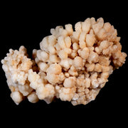 4.2" Botryoidal Aragonite Cave Calcite Crystal Cluster Mineral Specimen Morocco