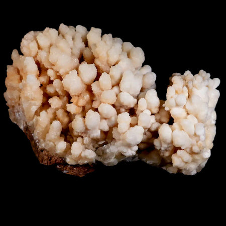 4.2" Botryoidal Aragonite Cave Calcite Crystal Cluster Mineral Specimen Morocco