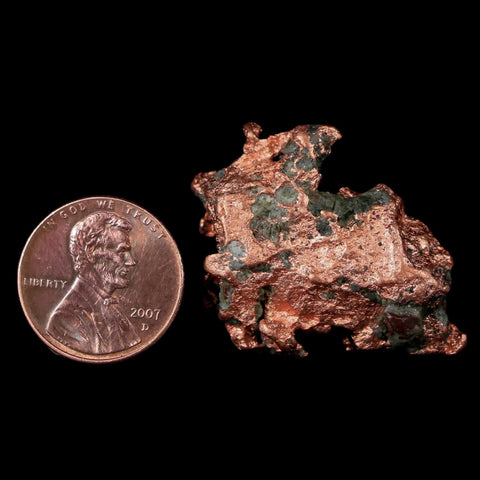 1.4" Solid Native Copper Polished Nugget Mineral Keweenaw Michigan - Fossil Age Minerals