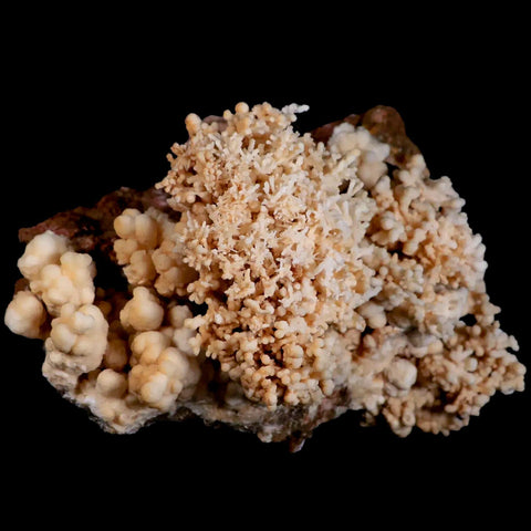 XL 6" Botryoidal Aragonite Cave Calcite Crystal Cluster Mineral Specimen Morocco - Fossil Age Minerals