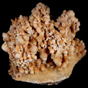 XL 5" Botryoidal Aragonite Cave Calcite Crystal Cluster Mineral Specimen Morocco