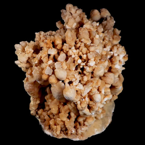 XL 5" Botryoidal Aragonite Cave Calcite Crystal Cluster Mineral Specimen Morocco - Fossil Age Minerals