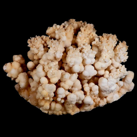 XL 5.4" Botryoidal Aragonite Cave Calcite Crystal Cluster Mineral Specimen Morocco - Fossil Age Minerals