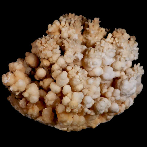 XL 5.4" Botryoidal Aragonite Cave Calcite Crystal Cluster Mineral Specimen Morocco - Fossil Age Minerals