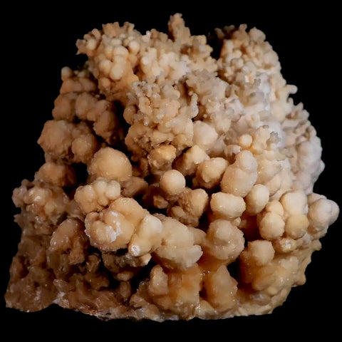 XL 5.4" Botryoidal Aragonite Cave Calcite Crystal Cluster Mineral Specimen Morocco - Fossil Age Minerals