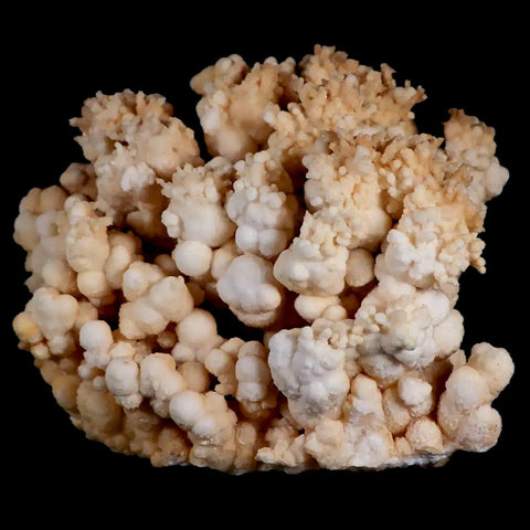XL 5.4" Botryoidal Aragonite Cave Calcite Crystal Cluster Mineral Specimen Morocco - Fossil Age Minerals