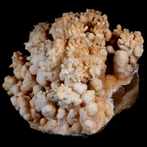 XL 5.4" Botryoidal Aragonite Cave Calcite Crystal Cluster Mineral Specimen Morocco - Fossil Age Minerals