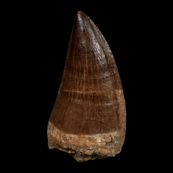 XL 2.3