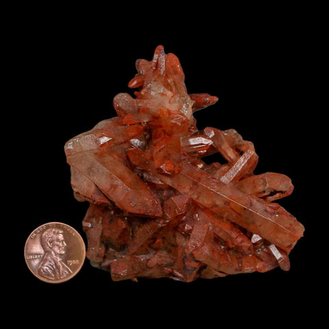 3" Natural Red Ferruginous Quartz Crystal Cluster Mineral Specimen Meknes Morocco - Fossil Age Minerals