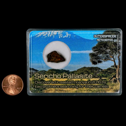 Sericho Stony Iron Pallasite Meteorite Kenya, Africa Found 2016 Display 1.78 Grams - Fossil Age Minerals