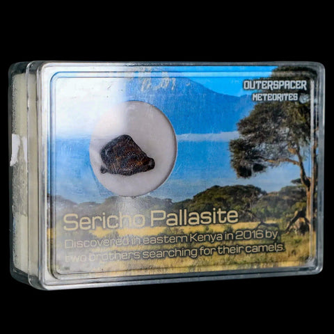 Sericho Stony Iron Pallasite Meteorite Kenya, Africa Found 2016 Display 1.78 Grams - Fossil Age Minerals