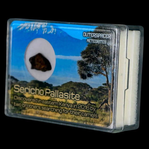 Sericho Stony Iron Pallasite Meteorite Kenya, Africa Found 2016 Display 1.78 Grams - Fossil Age Minerals