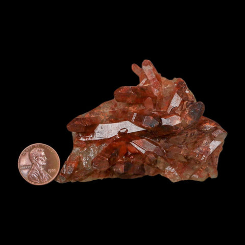 3.1" Natural Red Ferruginous Quartz Crystal Cluster Mineral Specimen Meknes Morocco - Fossil Age Minerals
