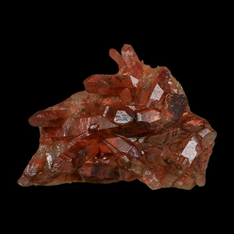 3.1" Natural Red Ferruginous Quartz Crystal Cluster Mineral Specimen Meknes Morocco - Fossil Age Minerals