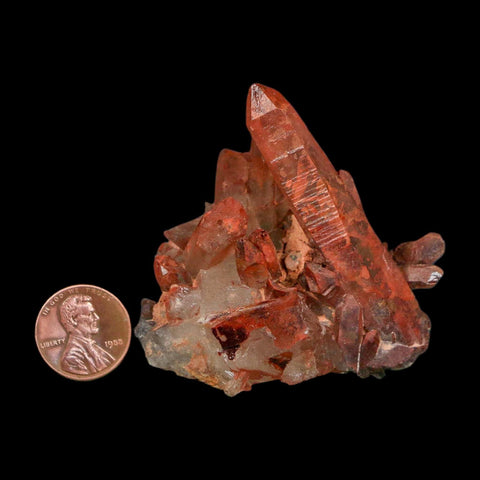 2.4" Natural Red Ferruginous Quartz Crystal Cluster Mineral Specimen Meknes Morocco - Fossil Age Minerals