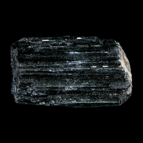 2.7" Natural Rough Black Tourmaline Mineral Crystal Specimen Schorl Brazil - Fossil Age Minerals
