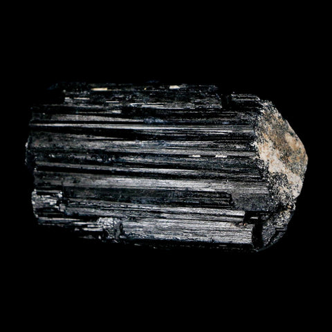 2.7" Natural Rough Black Tourmaline Mineral Crystal Specimen Schorl Brazil - Fossil Age Minerals