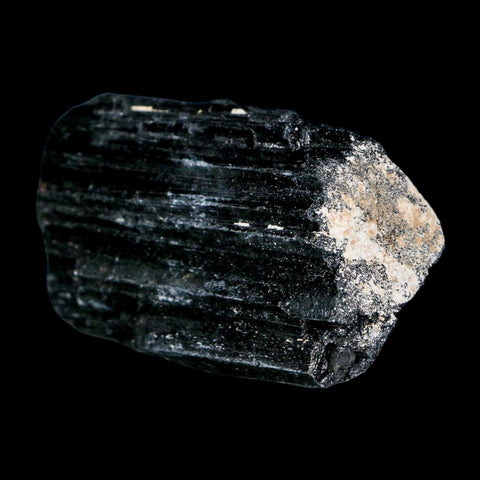 2.7" Natural Rough Black Tourmaline Mineral Crystal Specimen Schorl Brazil - Fossil Age Minerals
