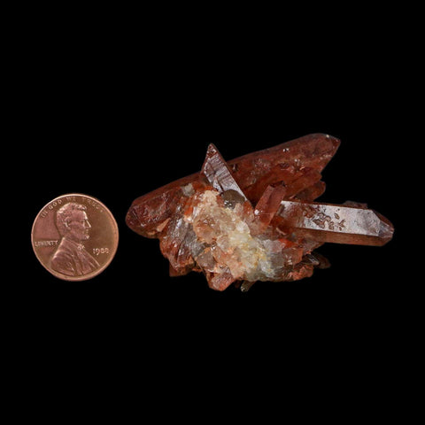 2.1" Natural Red Ferruginous Quartz Crystal Cluster Mineral Specimen Meknes Morocco - Fossil Age Minerals