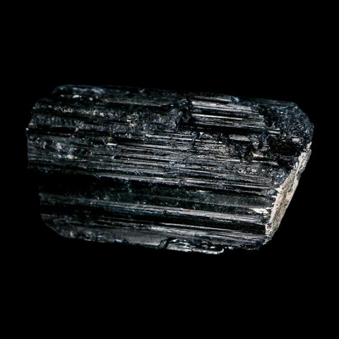 2.7" Natural Rough Black Tourmaline Mineral Crystal Specimen Schorl Brazil - Fossil Age Minerals