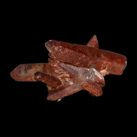 2.1" Natural Red Ferruginous Quartz Crystal Cluster Mineral Specimen Meknes Morocco - Fossil Age Minerals