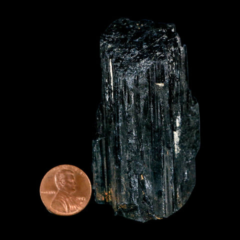 2.7" Natural Rough Black Tourmaline Mineral Crystal Specimen Schorl Brazil - Fossil Age Minerals