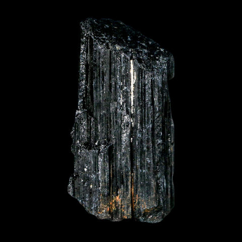 2.7" Natural Rough Black Tourmaline Mineral Crystal Specimen Schorl Brazil - Fossil Age Minerals