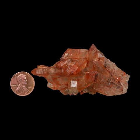 2.9" Natural Red Ferruginous Quartz Crystal Cluster Mineral Specimen Meknes Morocco - Fossil Age Minerals