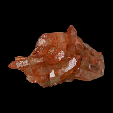 2.9" Natural Red Ferruginous Quartz Crystal Cluster Mineral Specimen Meknes Morocco - Fossil Age Minerals