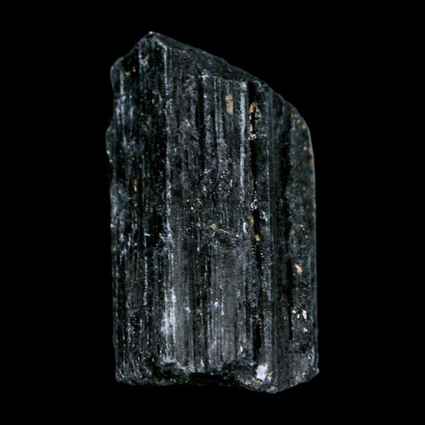 2.4" Natural Rough Black Tourmaline Mineral Crystal Specimen Schorl Brazil - Fossil Age Minerals