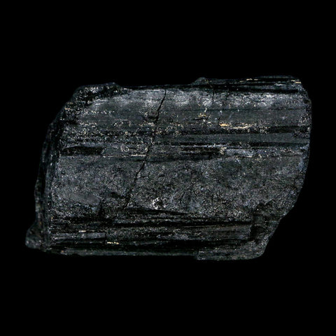 2.7" Natural Rough Black Tourmaline Mineral Crystal Specimen Schorl Brazil - Fossil Age Minerals
