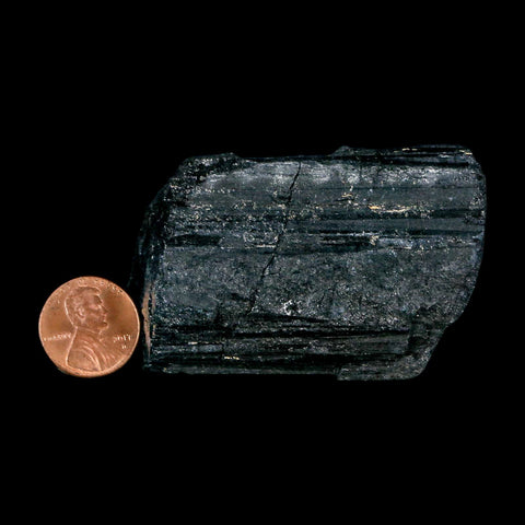 2.7" Natural Rough Black Tourmaline Mineral Crystal Specimen Schorl Brazil - Fossil Age Minerals