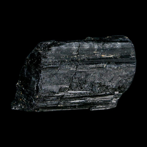 2.7" Natural Rough Black Tourmaline Mineral Crystal Specimen Schorl Brazil - Fossil Age Minerals