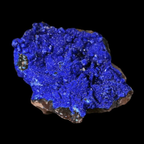 1.2" Azurite Crystals On Barite Mineral Specimen Tiznit Morocco - Fossil Age Minerals