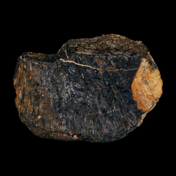 1.6