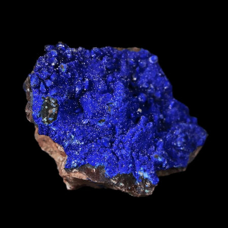 1.2" Azurite Crystals On Barite Mineral Specimen Tiznit Morocco